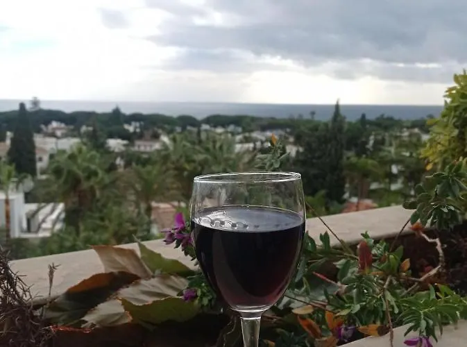 Atico Duplex Guadalpin Apartmán